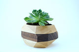 Walnut & Maple Geometric Planter Home & Garden Pinwheel 