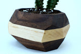 Walnut & Maple Geometric Planter Home & Garden Pinwheel Black w/White Stripe 