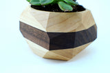 Walnut & Maple Geometric Planter Home & Garden Pinwheel White w/Black Stripe 