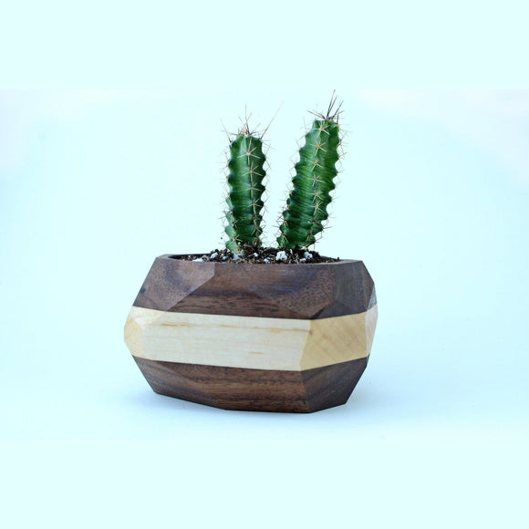 Walnut & Maple Geometric Planter Home & Garden Pinwheel 