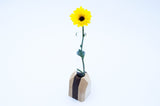 Walnut & Maple Hardwood Geometric Flower Vase Home & Garden Pinwheel 