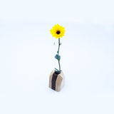 Walnut & Maple Hardwood Geometric Flower Vase Home & Garden Pinwheel 